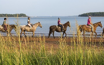 Horseback riding