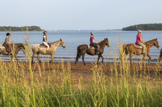 Photo: Brudenell River Provincial Park