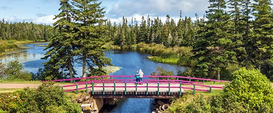A person walking along a pink boardwalk bridge over a calm river surrounded by forest.